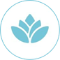 flowdit logo icon